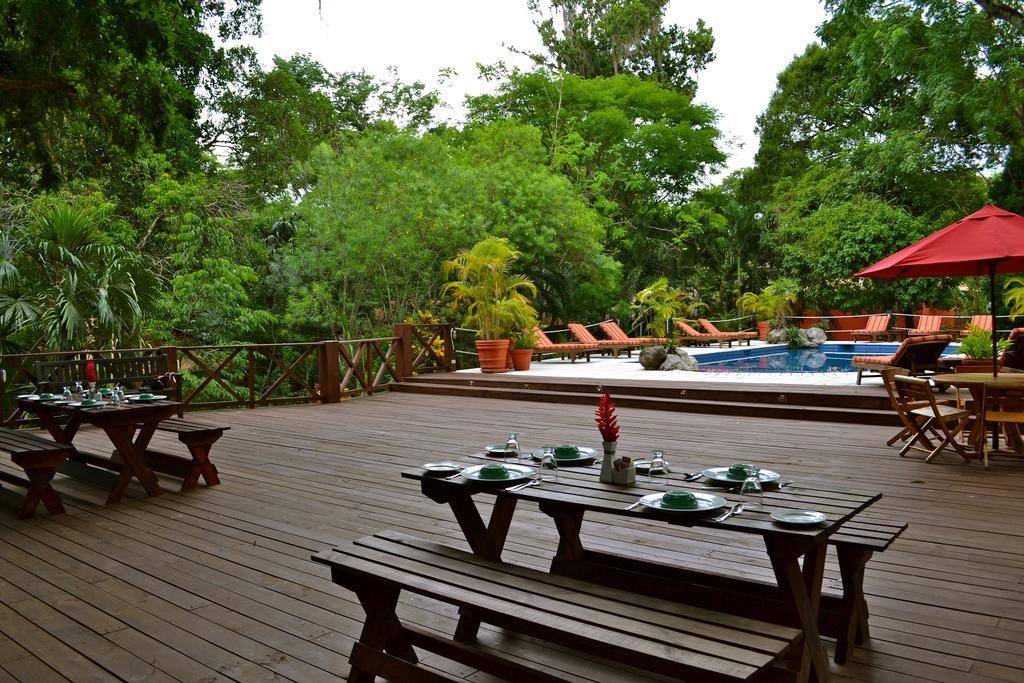 Jungle Hotel