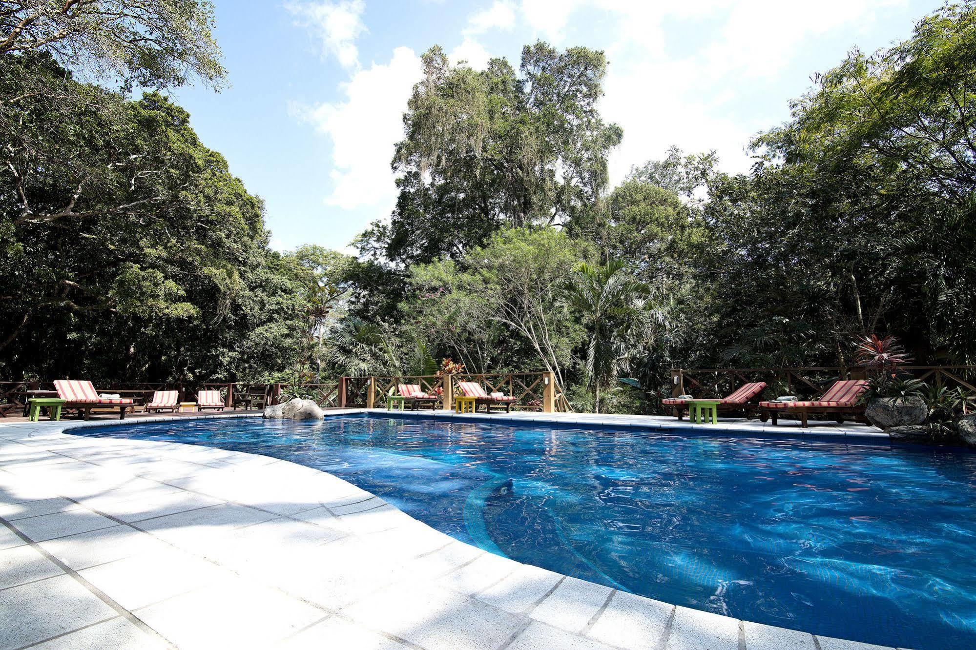 Hotel Jungle 3*